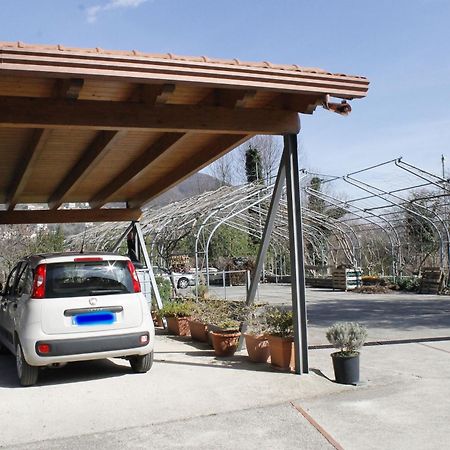 Apartmán Casa Marinella Agerola Exteriér fotografie